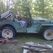 I have 5 willys for sale for parts I have 5 willys for sale for parts