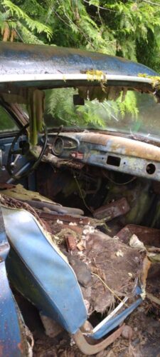 IMG_20240604_130906 (1) IMG_20240604_130906 (1)