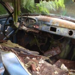 IMG_20240604_130906 (1)