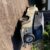 Jeepster 4 Jeepster 4